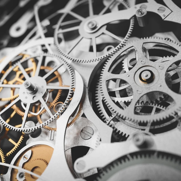Quand faire révision montre luxe
